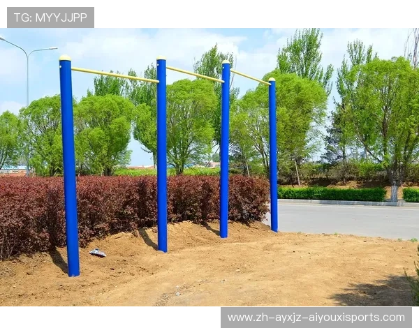 黑龙江优质健身器材批发直销渠道